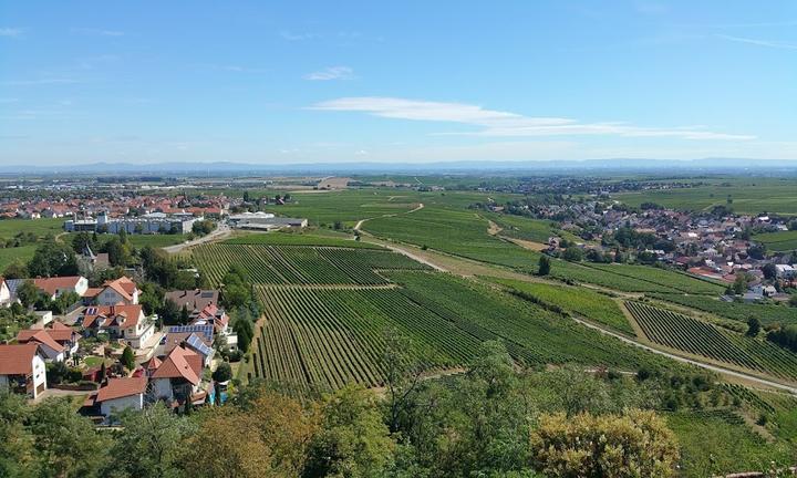 Burgschänke Neuleiningen